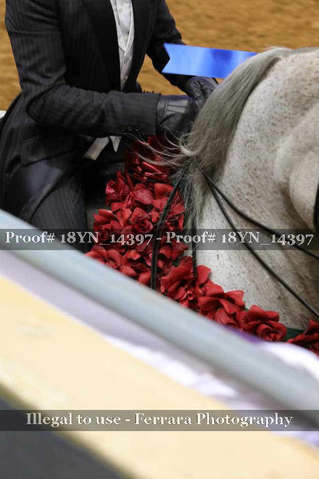 Proof 18YN_14397
