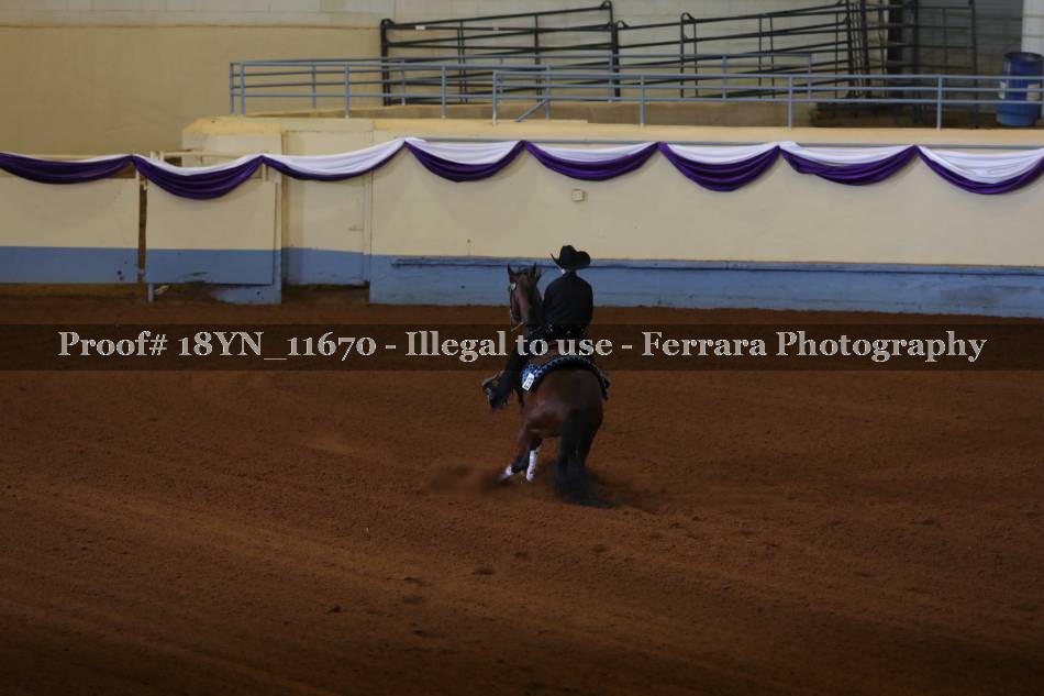 Proof 18YN_11670