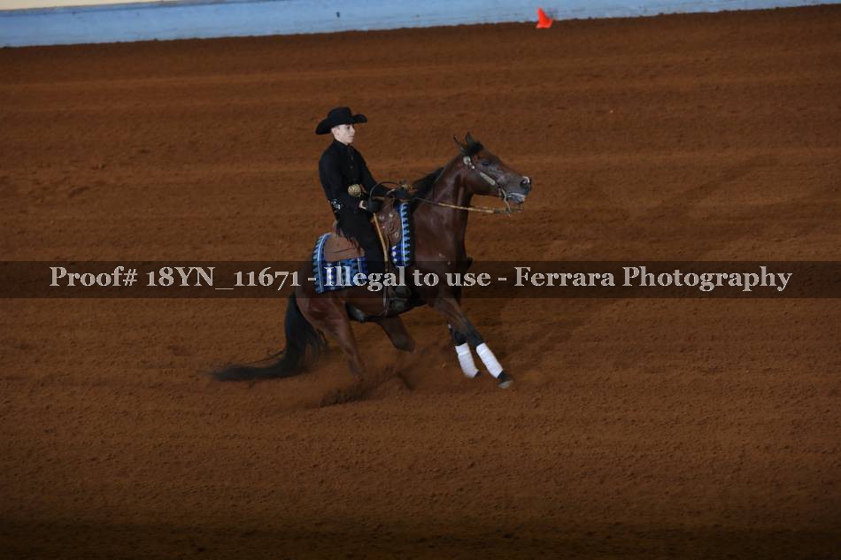 Proof 18YN_11671