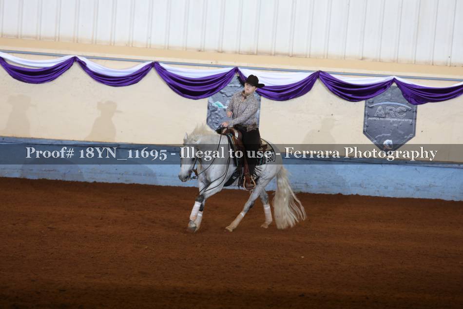 Proof 18YN_11695