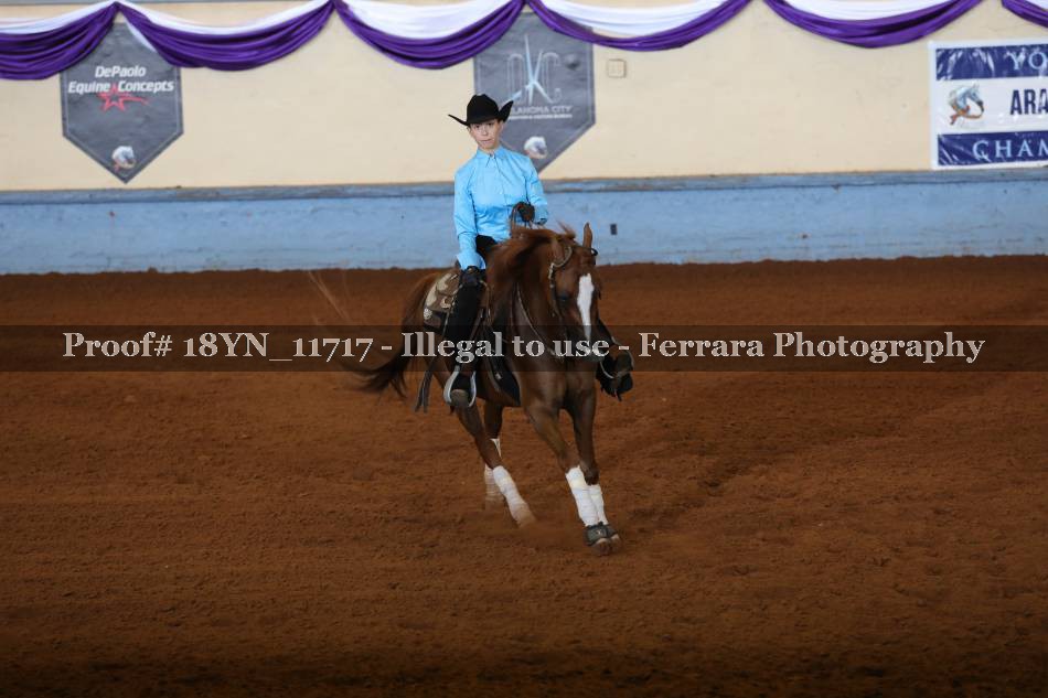 Proof 18YN_11717