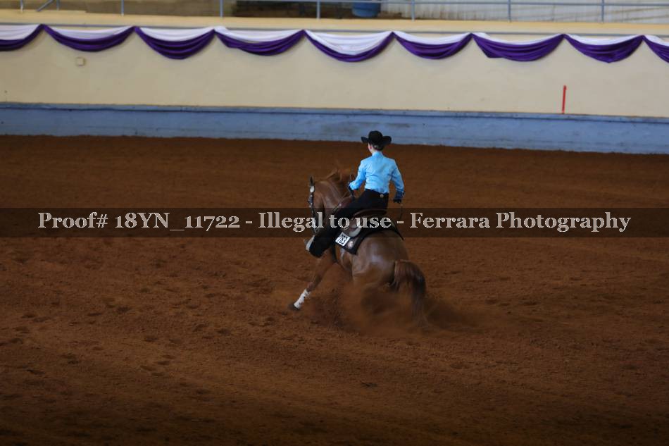 Proof 18YN_11722