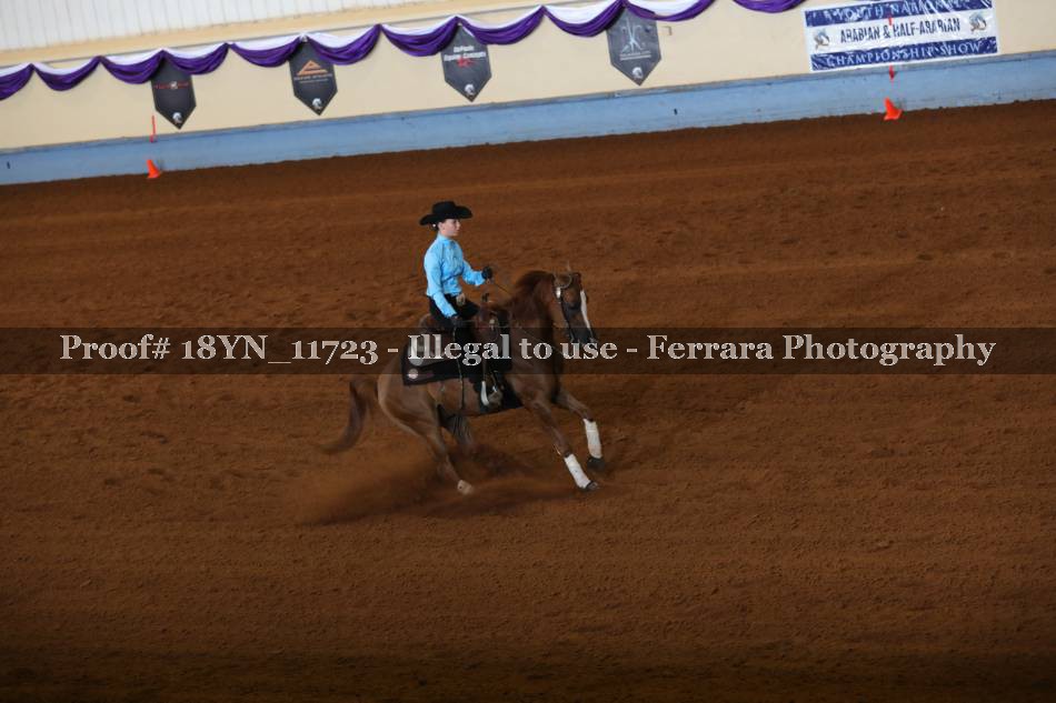 Proof 18YN_11723