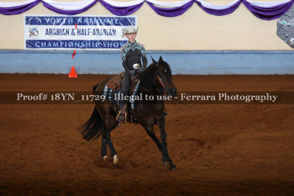 Proof 18YN_11729