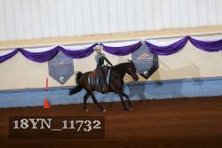 18YN_11732 proof