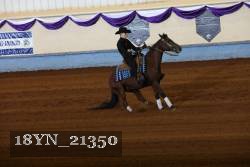 18YN_21350 proof
