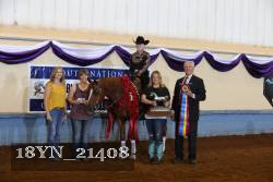 18YN_21408 proof