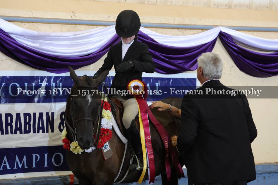 Proof 18YN_15171