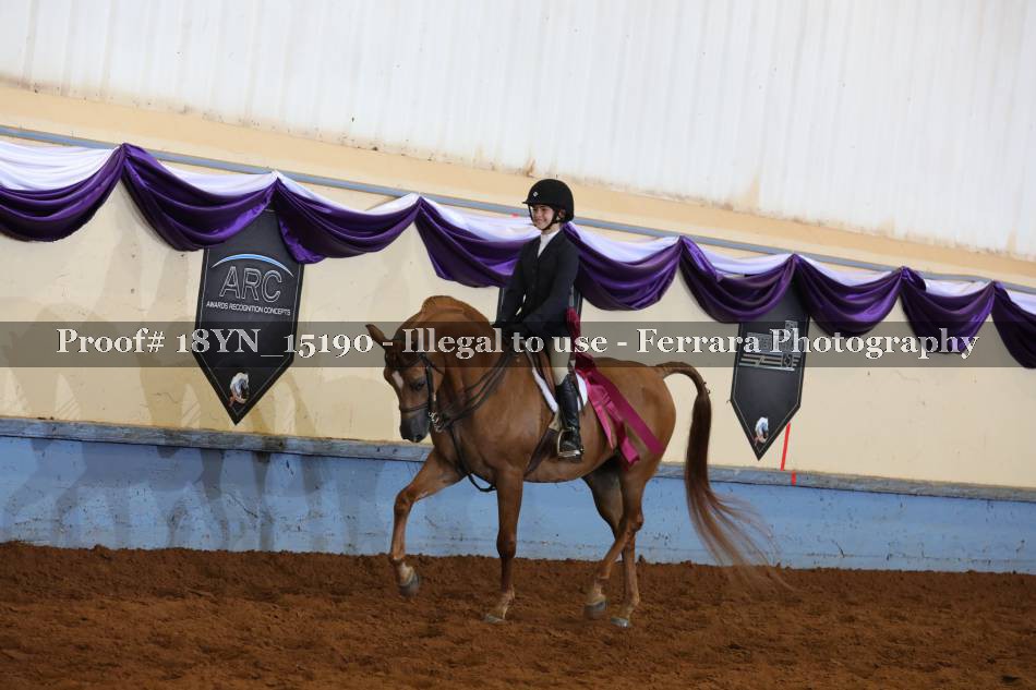 Proof 18YN_15190