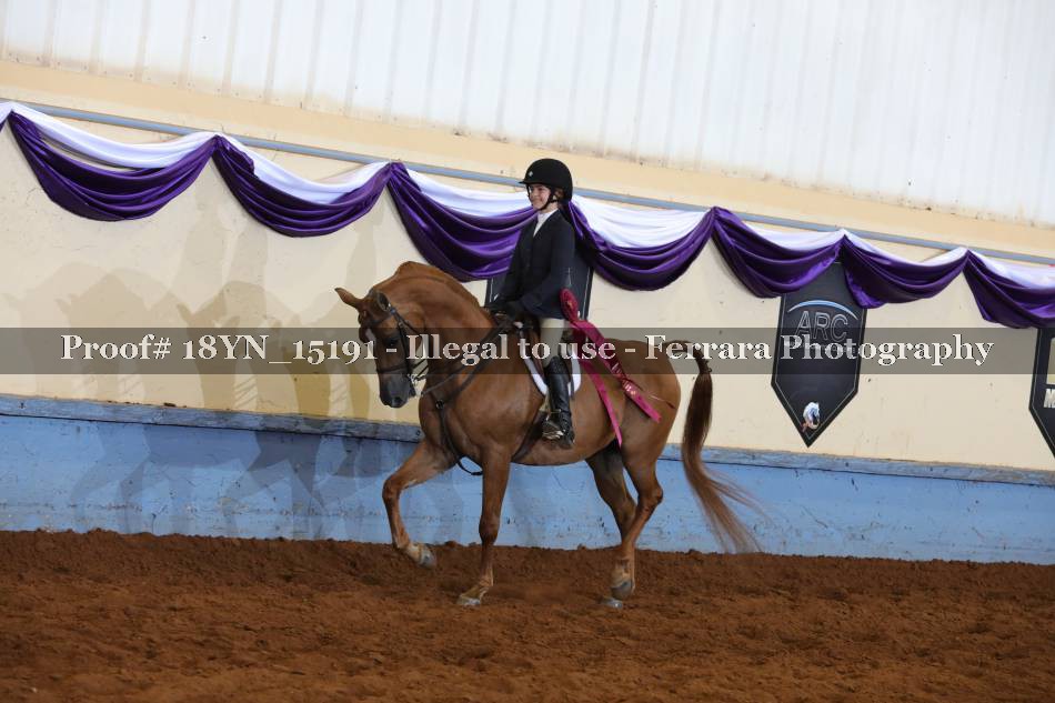 Proof 18YN_15191