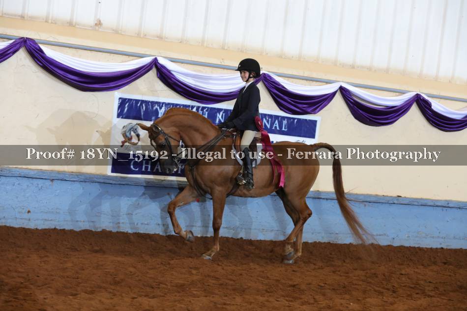 Proof 18YN_15192