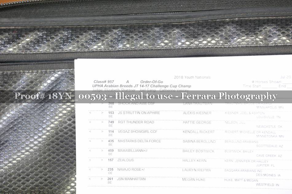 Proof 18YN_00593