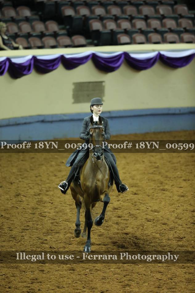 Proof 18YN_00599