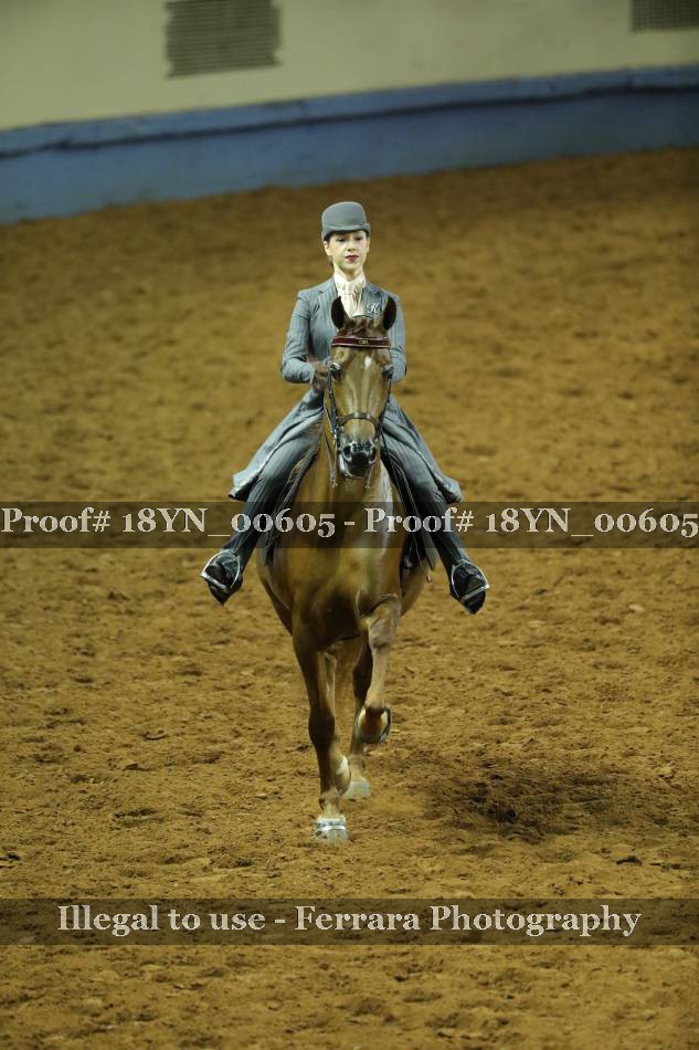 Proof 18YN_00605