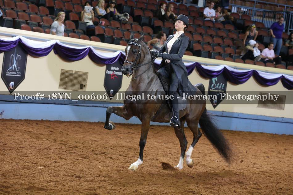 Proof 18YN_00606