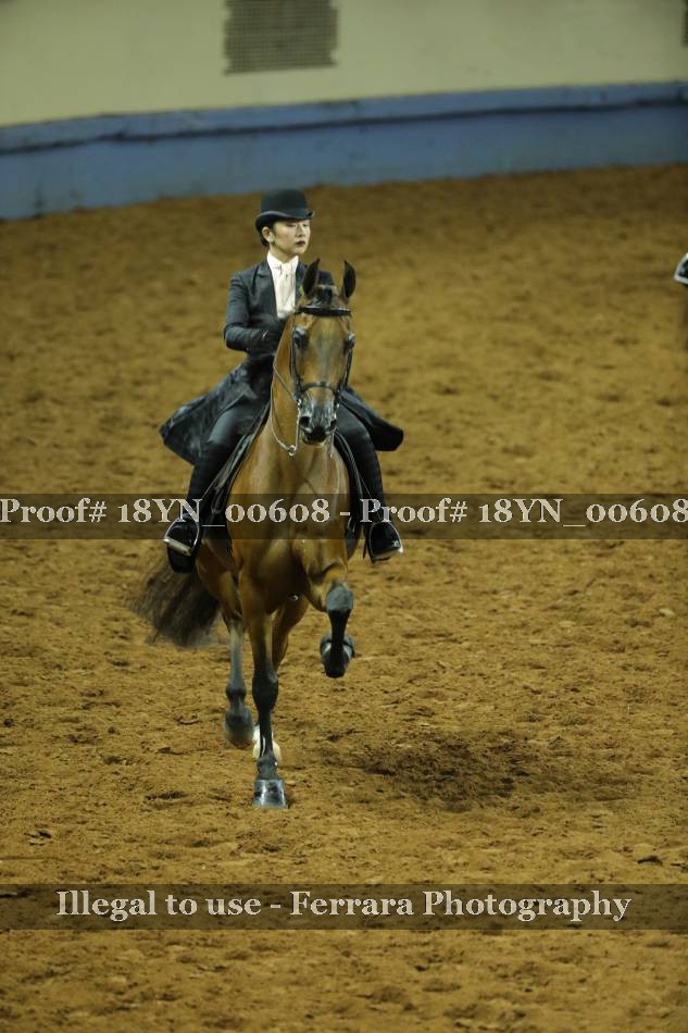 Proof 18YN_00608