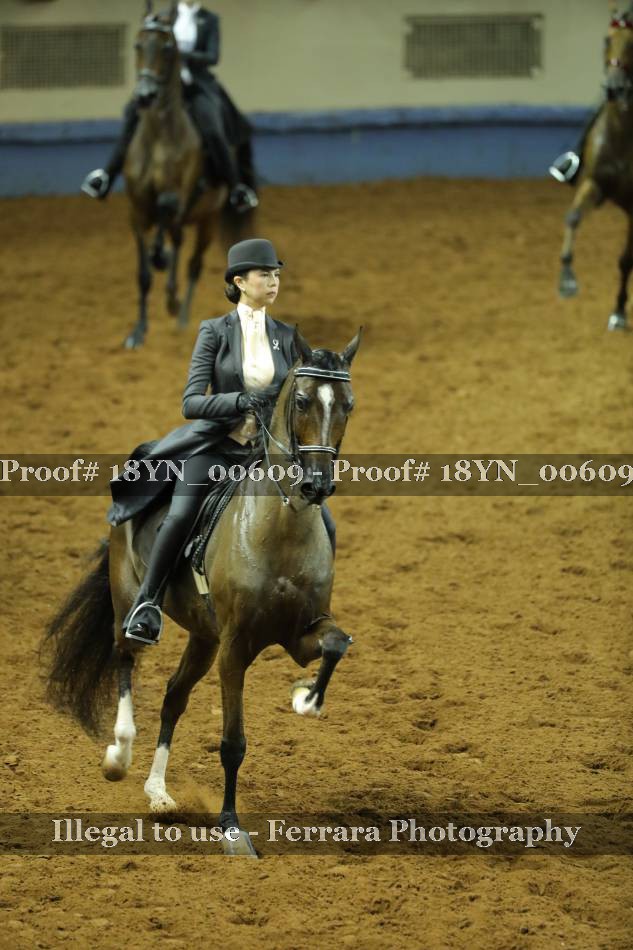 Proof 18YN_00609