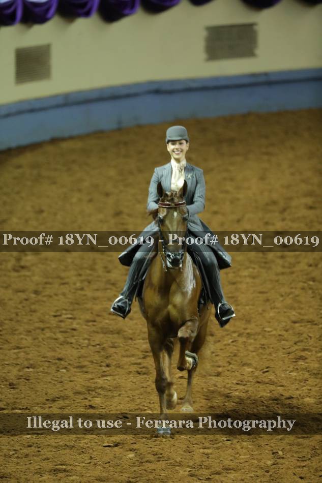 Proof 18YN_00619