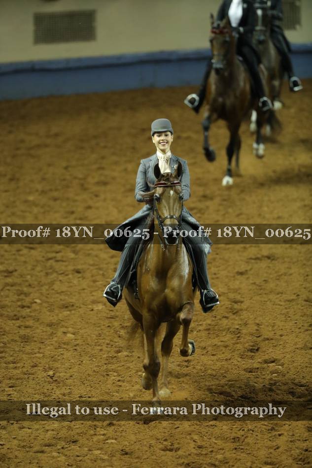 Proof 18YN_00625