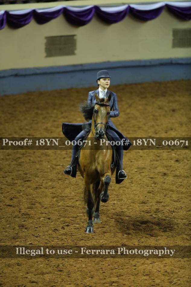 Proof 18YN_00671