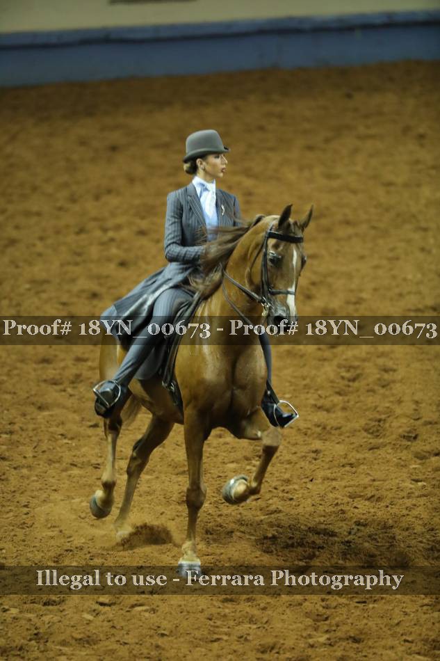 Proof 18YN_00673