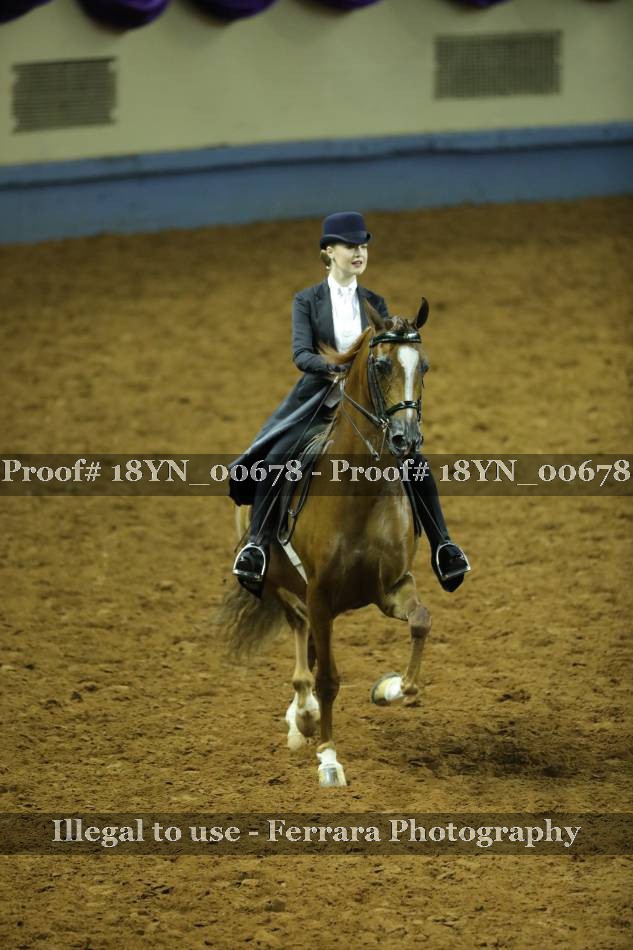 Proof 18YN_00678