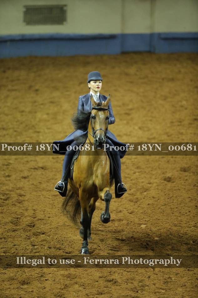 Proof 18YN_00681