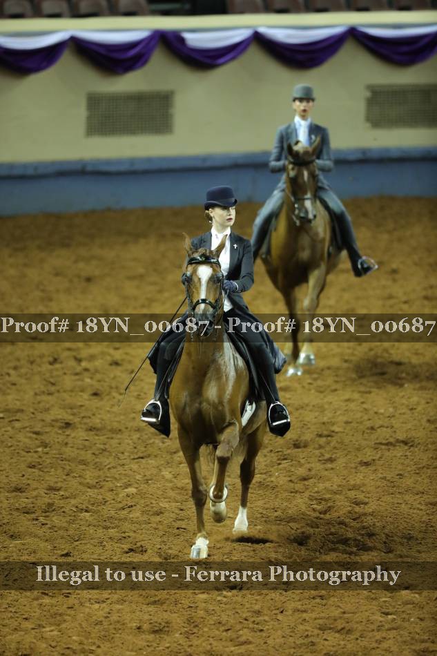 Proof 18YN_00687