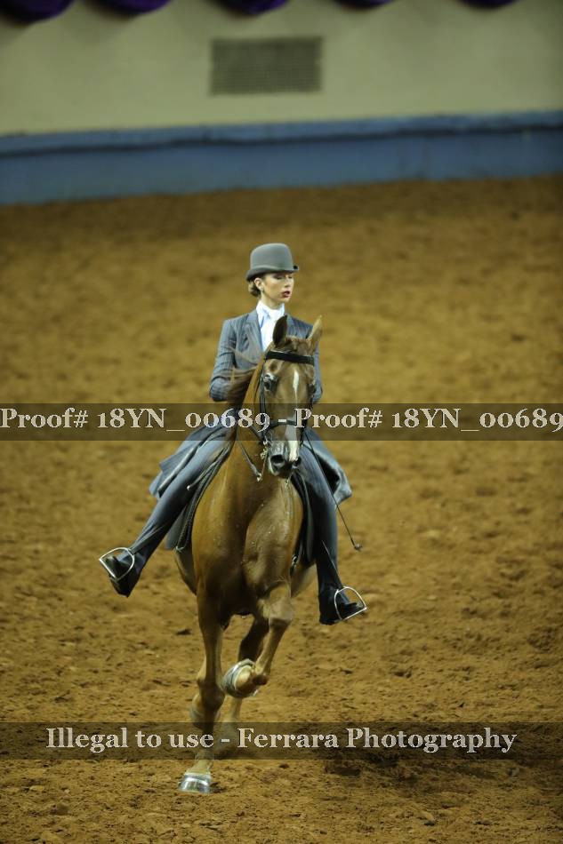 Proof 18YN_00689