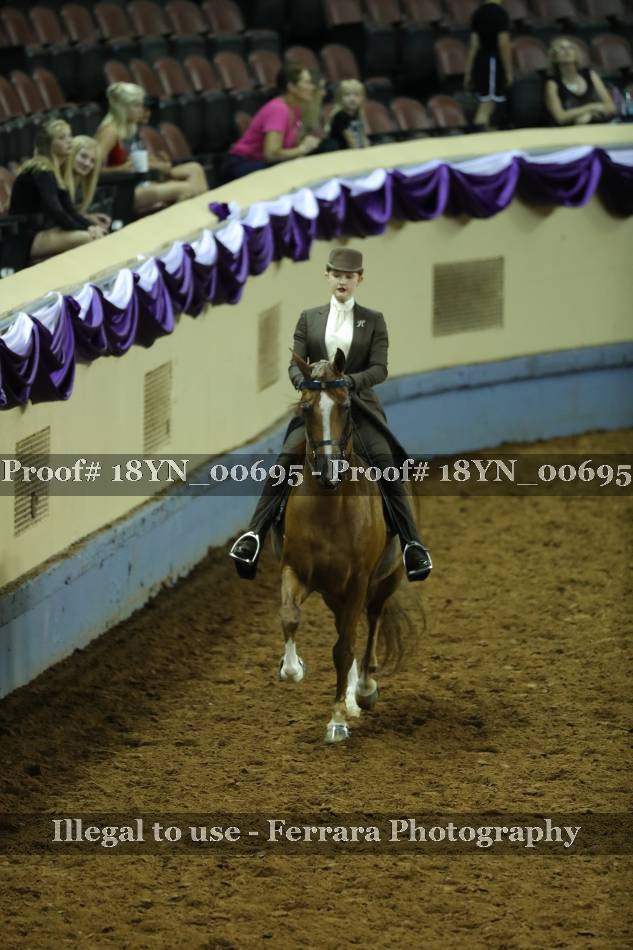Proof 18YN_00695