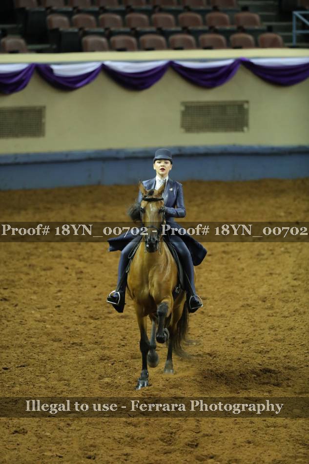 Proof 18YN_00702