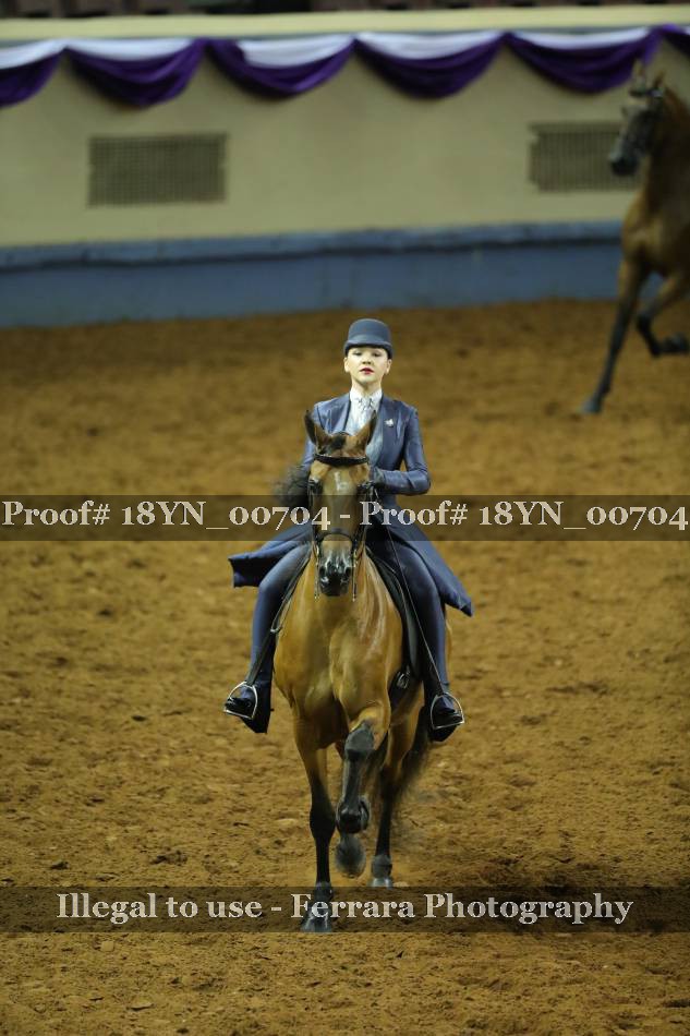 Proof 18YN_00704