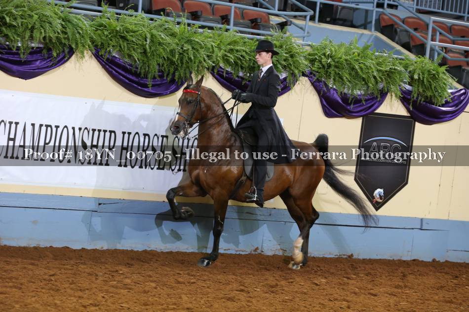 Proof 18YN_00705