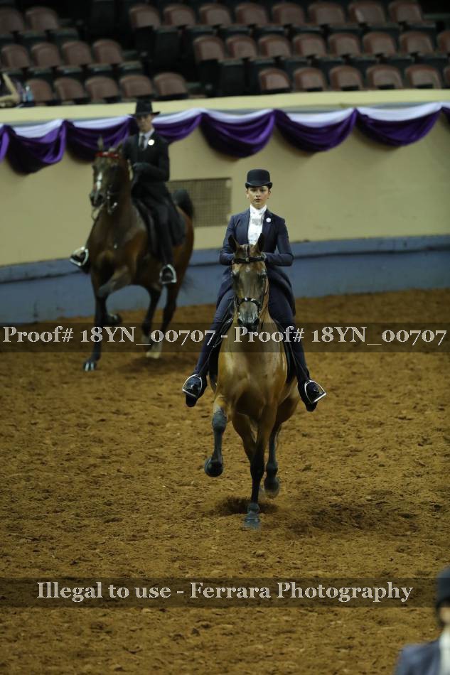Proof 18YN_00707