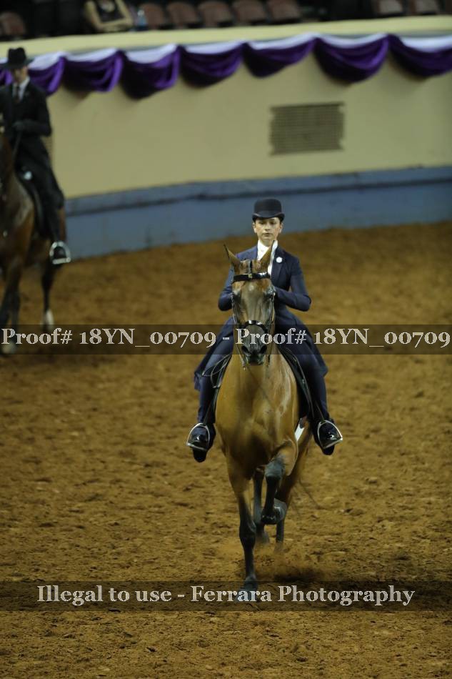 Proof 18YN_00709