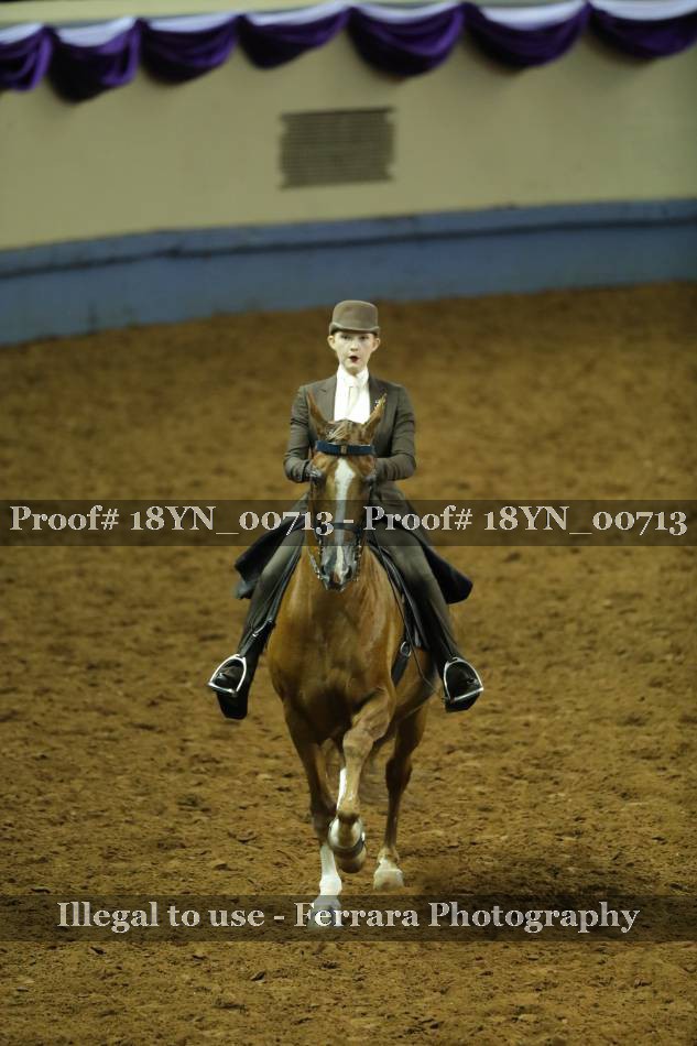 Proof 18YN_00713