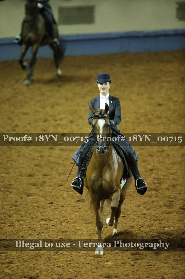 Proof 18YN_00715