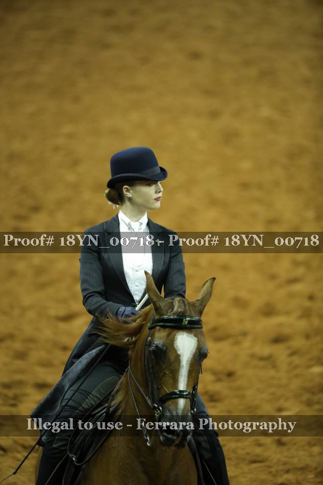 Proof 18YN_00718