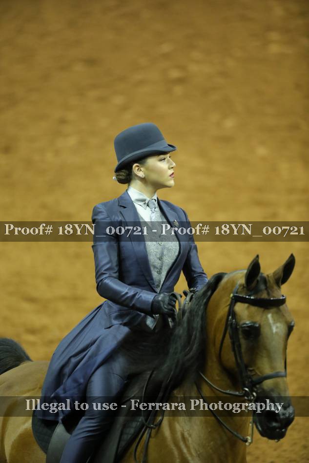 Proof 18YN_00721