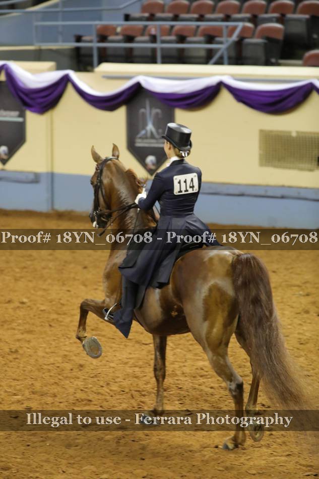 Proof 18YN_06708