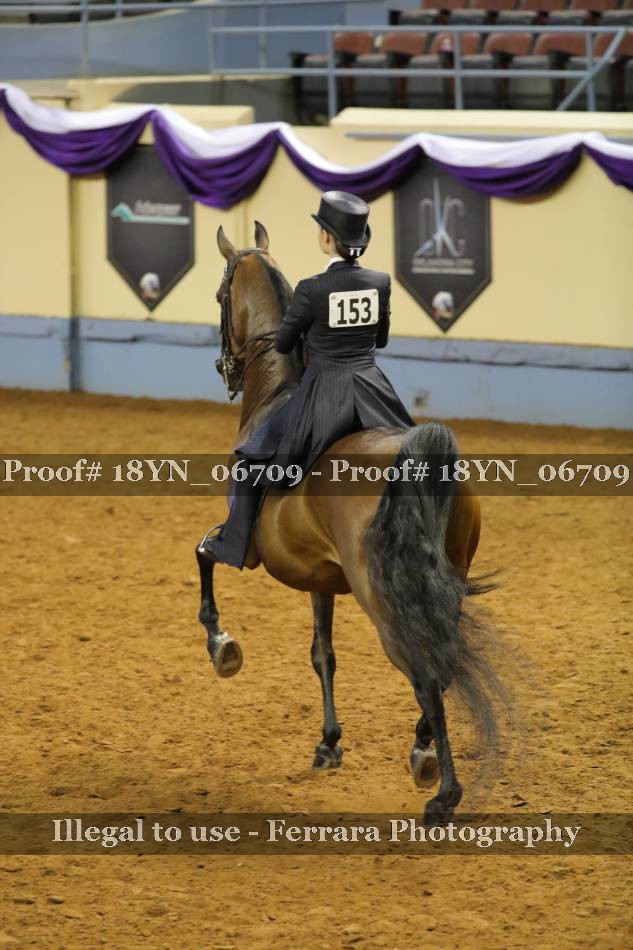 Proof 18YN_06709