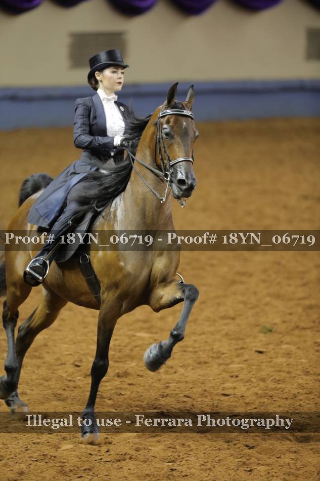 Proof 18YN_06719