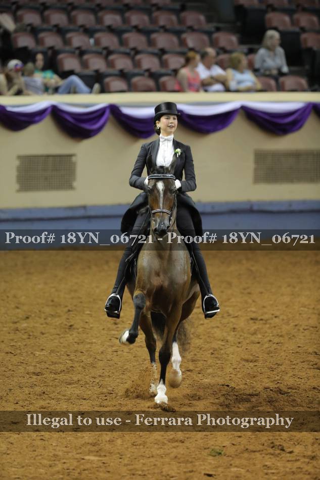 Proof 18YN_06721