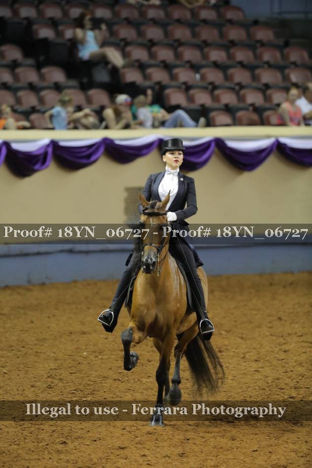 Proof 18YN_06727