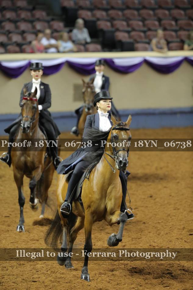Proof 18YN_06738