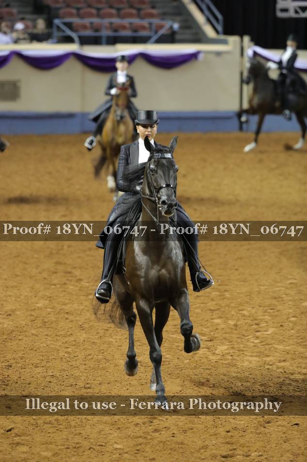 Proof 18YN_06747
