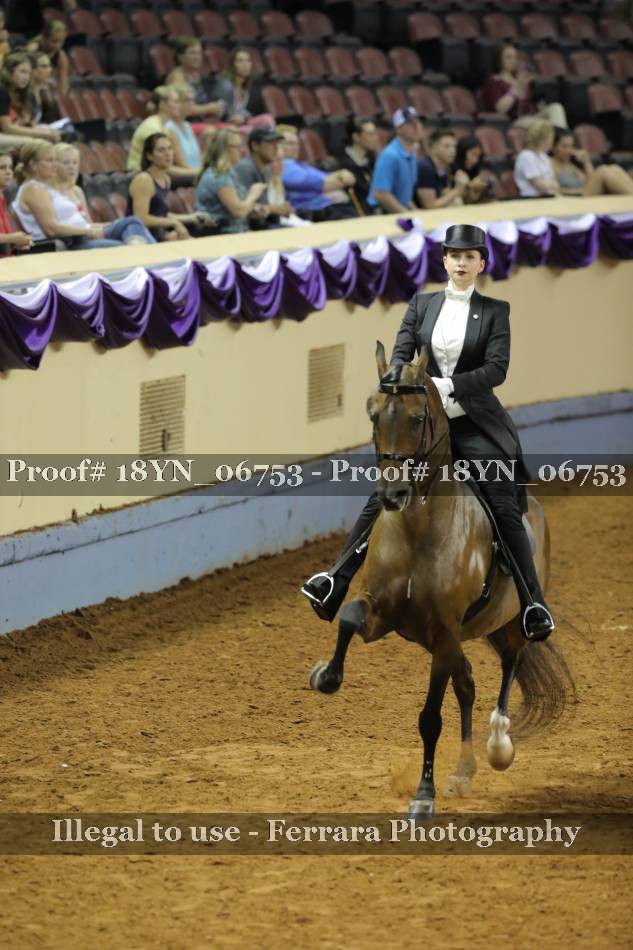 Proof 18YN_06753