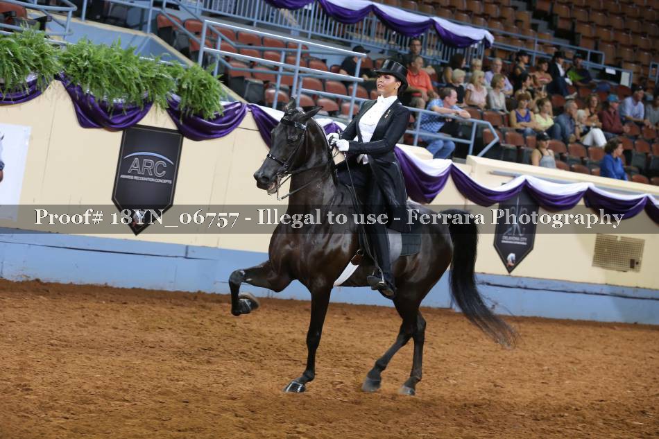 Proof 18YN_06757