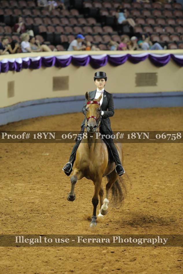Proof 18YN_06758