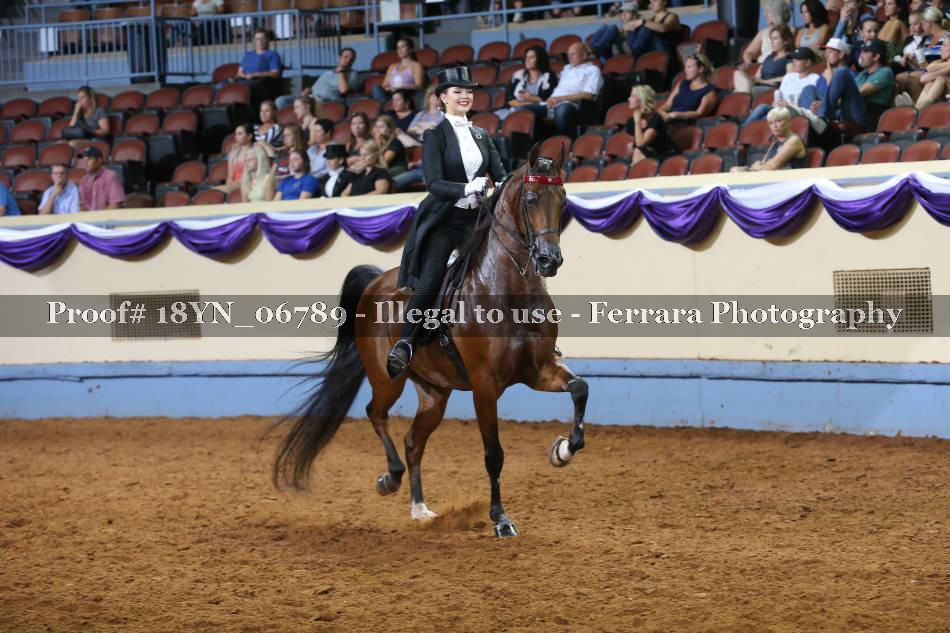 Proof 18YN_06789